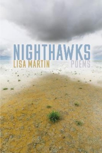 Picture of Nighthawks