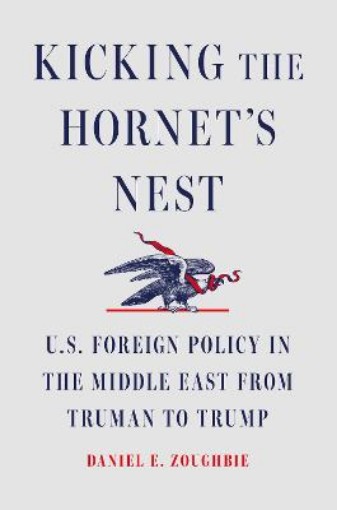 Picture of Kicking the Hornet's Nest