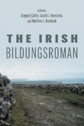 Picture of Irish Bildungsroman