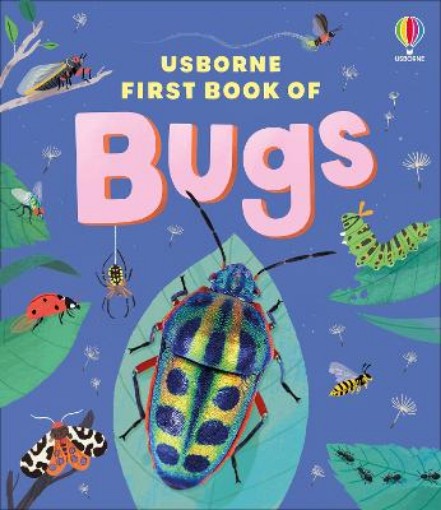 Picture of Usborne First Book of Bugs