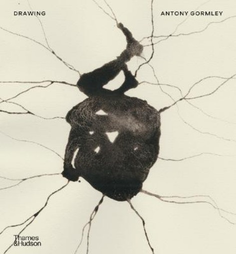 Picture of Drawing: Antony Gormley