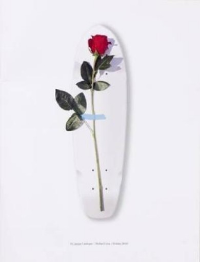 Picture of Curious Catalogue