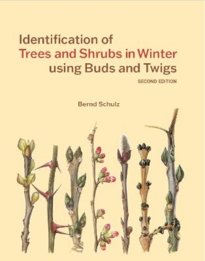 Picture of Identification of Trees and Shrubs in Winter using Buds and Twigs