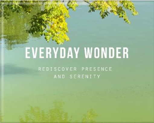 Picture of Everyday Wonder