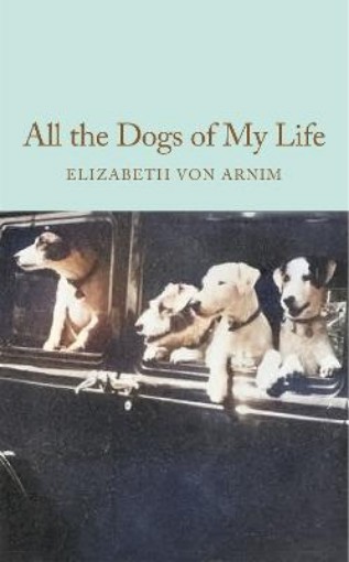 Picture of All the Dogs of My Life