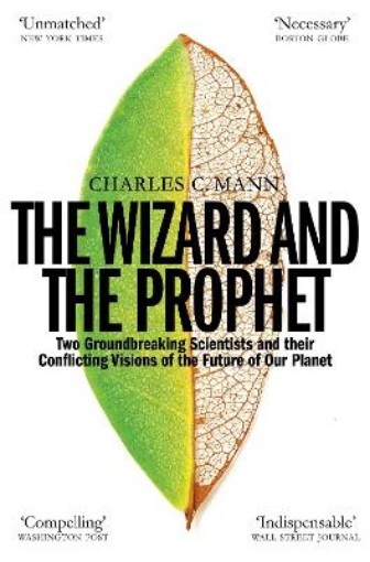 Picture of Wizard and the Prophet