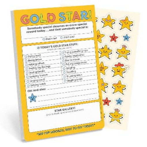 Picture of Knock Knock Kids Gold Star! Playtime Pads