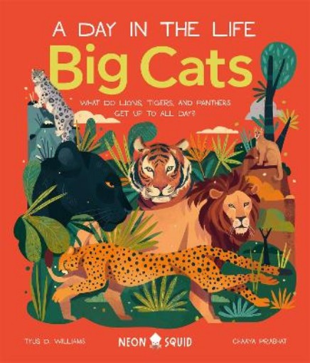 Picture of Big Cats (A Day in the Life)