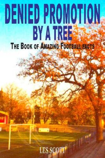 Picture of Denied Promotion By A Tree