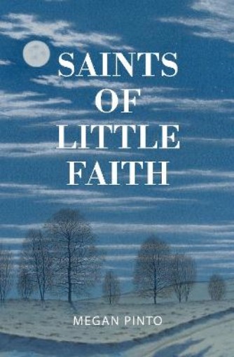 Picture of Saints of Little Faith