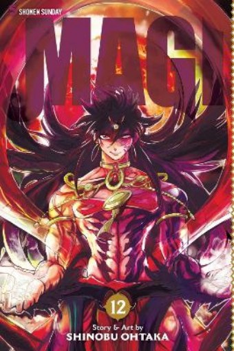 Picture of Magi: The Labyrinth of Magic, Vol. 12