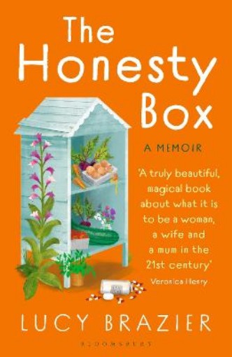 Picture of Honesty Box