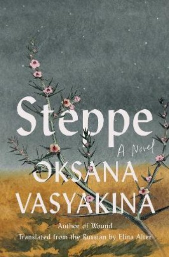 Picture of Steppe