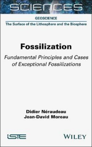 Picture of Fossilization