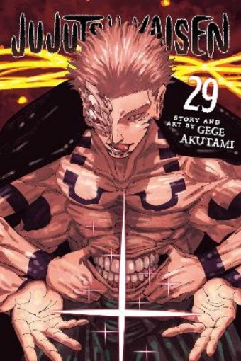 Picture of Jujutsu Kaisen, Vol. 29