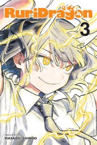 Picture of RuriDragon, Vol. 3