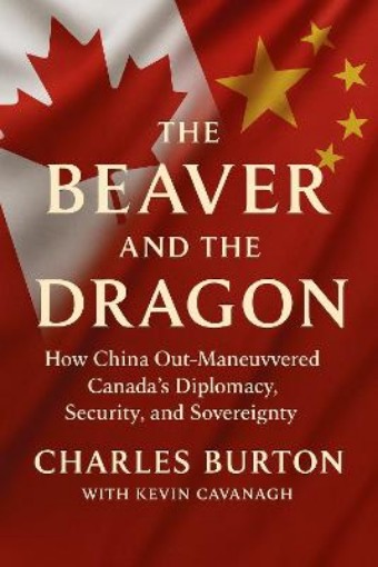 Picture of Beaver and the Dragon
