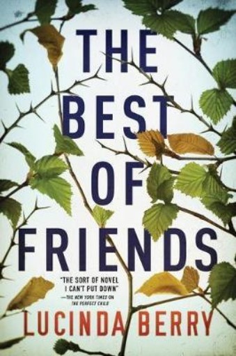 Picture of Best of Friends