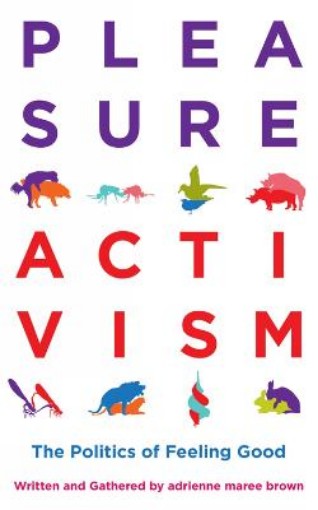Picture of Pleasure Activism