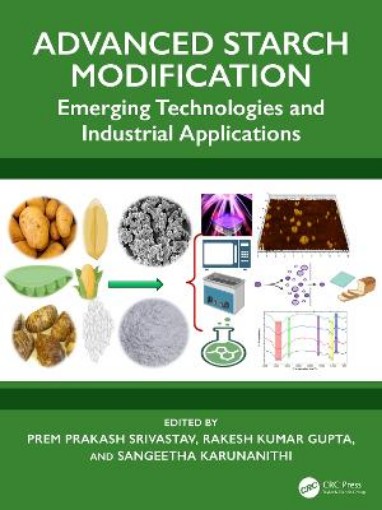 Picture of Advanced Starch Modification