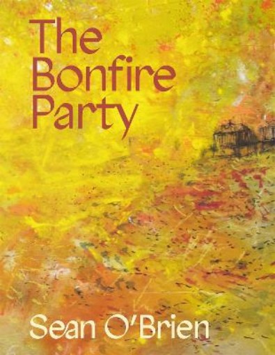 Picture of Bonfire Party