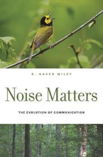 Picture of Noise Matters