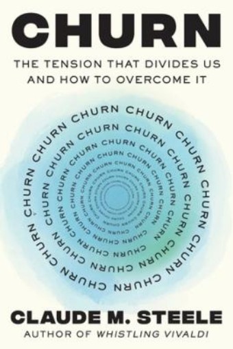 Picture of Churn