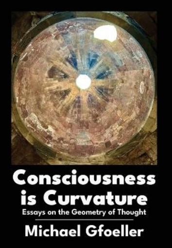 Picture of Consciousness Is Curvature