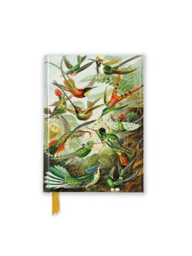 Picture of Ernst Haeckel: Hummingbirds (Foiled Pocket Journal)