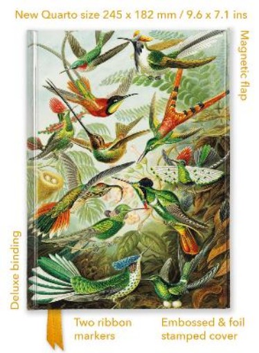 Picture of Ernst Haeckel: Hummingbirds (Foiled Quarto Journal)