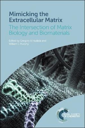 Picture of Mimicking the Extracellular Matrix