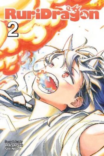 Picture of RuriDragon, Vol. 2