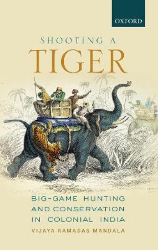 Picture of Shooting a Tiger