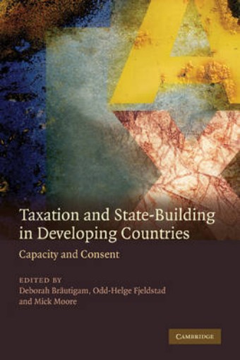 Picture of Taxation and State-Building in Developing Countries