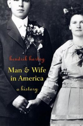 Picture of Man and Wife in America