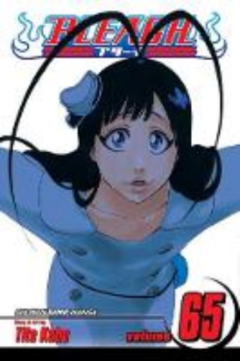 Picture of Bleach, Vol. 65
