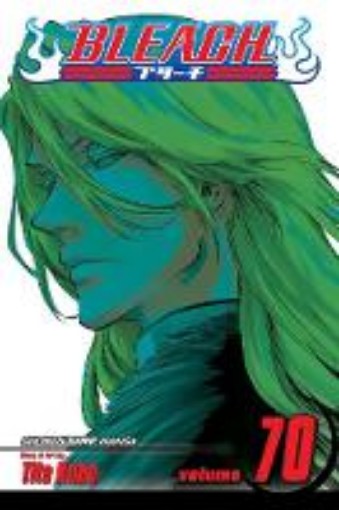 Picture of Bleach, Vol. 70