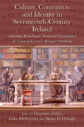 Picture of Culture, Contention and Identity in Seventeenth-Century Ireland