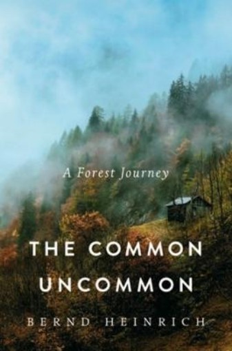 Picture of Common Uncommon