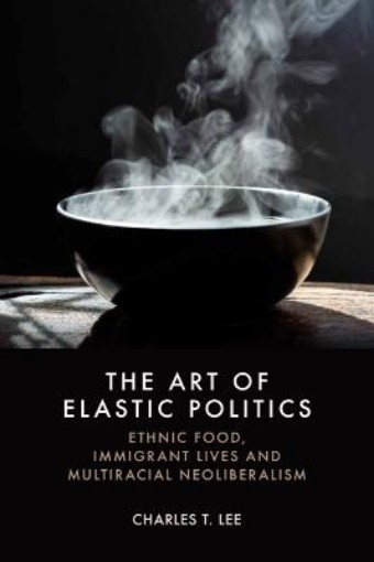 Picture of Art of Elastic Politics