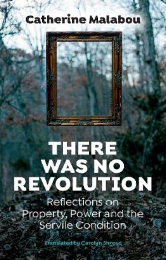 Picture of There Was No Revolution