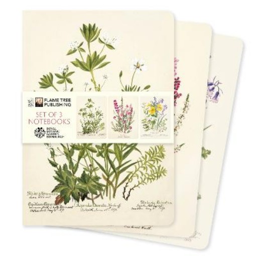 Picture of Royal Botanic Gardens Edinburgh Set of 3 Standard Notebooks