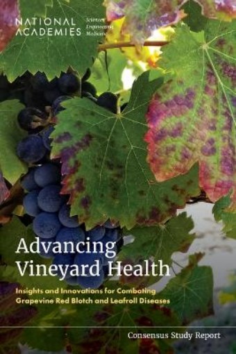 Picture of Advancing Vineyard Health