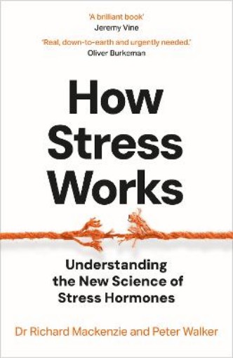 Picture of How Stress Works
