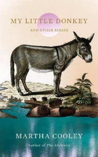 Picture of My Little Donkey