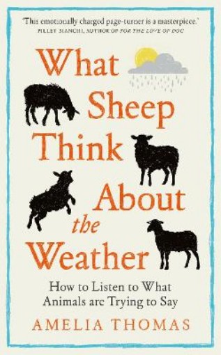 Picture of What Sheep Think About the Weather