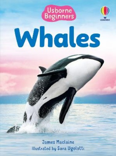 Picture of Beginners Whales