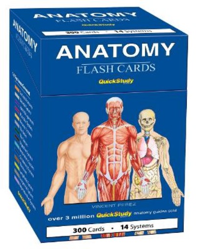 Picture of Anatomy Flash Cards (300 Cards)