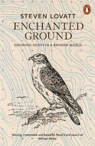 Picture of Enchanted Ground