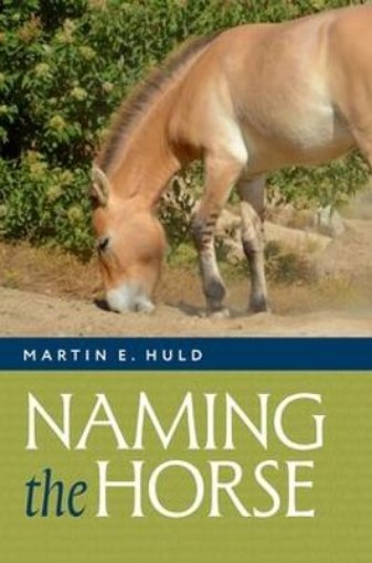 Picture of Naming the Horse
